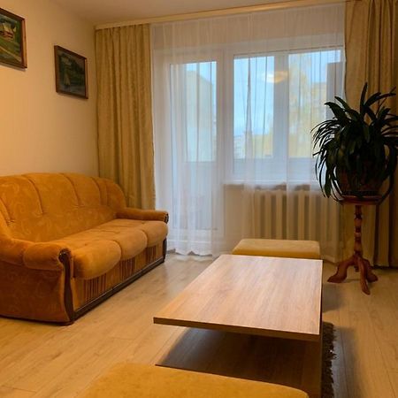 Cosy Appartment In Great Location Kaunas Bagian luar foto